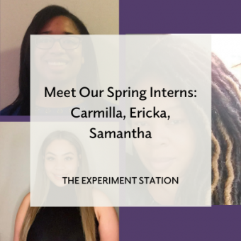 Promo for Meet Our Spring Interns: Carmilla, Ericka, Samantha blog