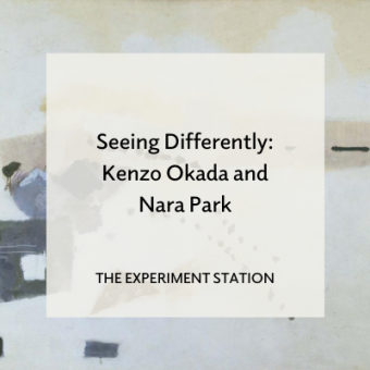 Promo for Seeing Differently: Kenzo Okada and Nara Park blog
