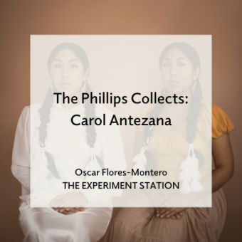 Promo for The Phillips Collects: Carol Antezana blog by Oscar Flores-Montero