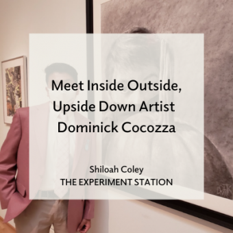 Promo for Meet Inside Outside Upside Down Artist Dominick Cocozza