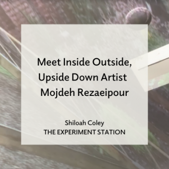 Promo for Meet Inside Outside, Upside Down Artist Mojdeh Rezaeipour blog
