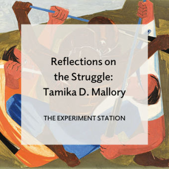 Promo for Reflections on the Struggle: Tamika D. Mallory blog