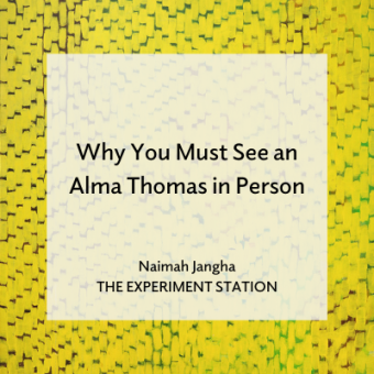 Promo for Why You Must See an Alma Thomas in Person blog
