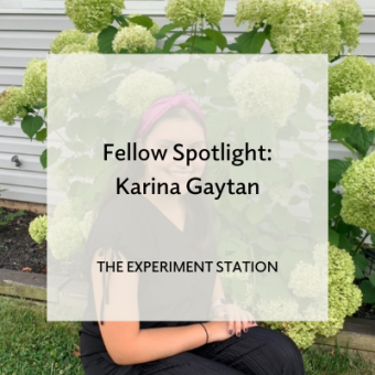 Promo for Fellow Spotlight: Karina Gaytan blog