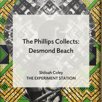 Promo for The Phillips Collects: Desmond Beach blog
