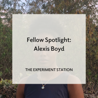 Promo for Alexis Boyd Fellow Spotlight
