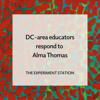 Promo for DC-area educators respond to Alma Thomas blog