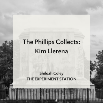 Promo for The Phillips Collects: Kim Llerena blog