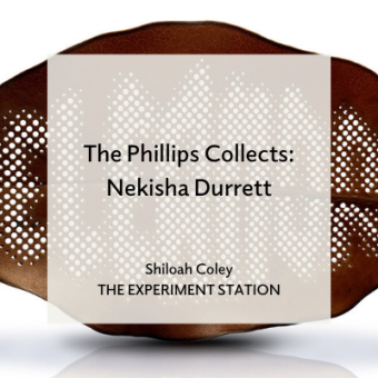 Promo for The Phillips Collects: Nekisha Durrett blog