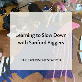Promo for Learning to Slow Down with Sanford Biggers blog
