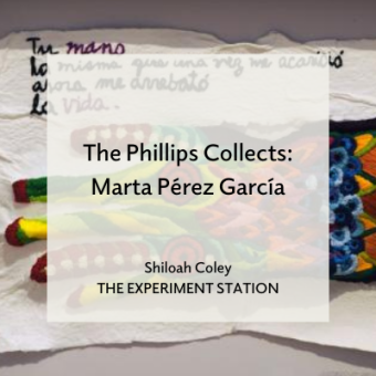 Promo for The Phillips Collects: Marta Perez Garcia blog
