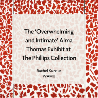 Promo for Alma Thomas review on WAMU