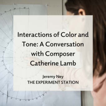 Promo for A Conversation with Catherine Lamb blog