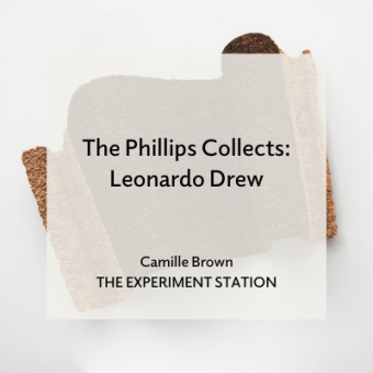 Promo for The Phillips Collection: Leonardo Drew blog