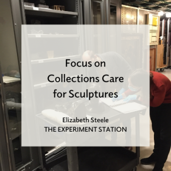 Promo for Focus on Collections Care for Sculpture blog