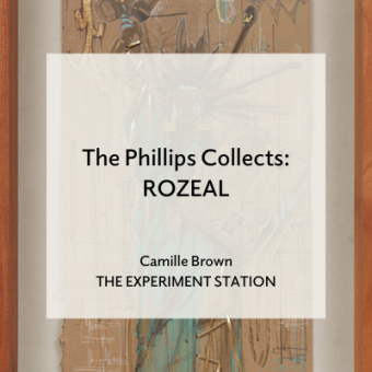 Promo for The Phillips Collects: ROZEAL blog