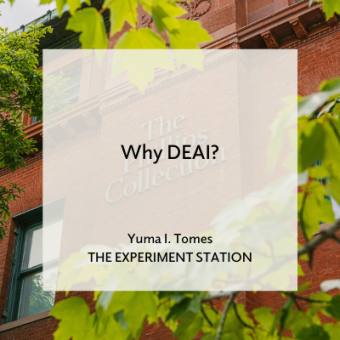 Promo for Why DEAI? blog