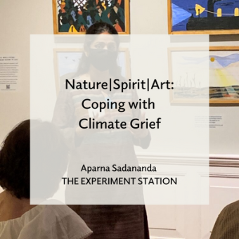 Promo for NatureSpiritArt Coping with Climate Grief blog 