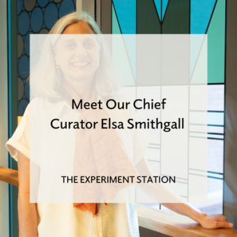 Promo for Meet Our Chief Curator Elsa Smithgall blog