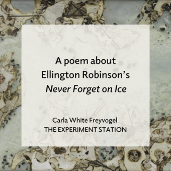 Promo for A poem about Ellington Robinson’s Never Forget on Ice blog 