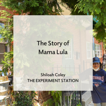Promo for The Story of Mama Lula blog