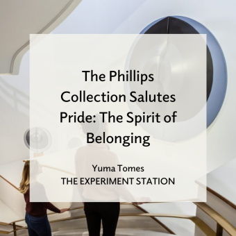 The Phillips Collection Salutes Pride blog promo