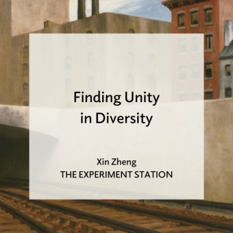 Finding Unity in Diversity blog
