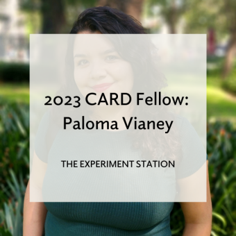 Paloma Vianey blog