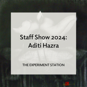 Staff Show Aditi Hazra blog